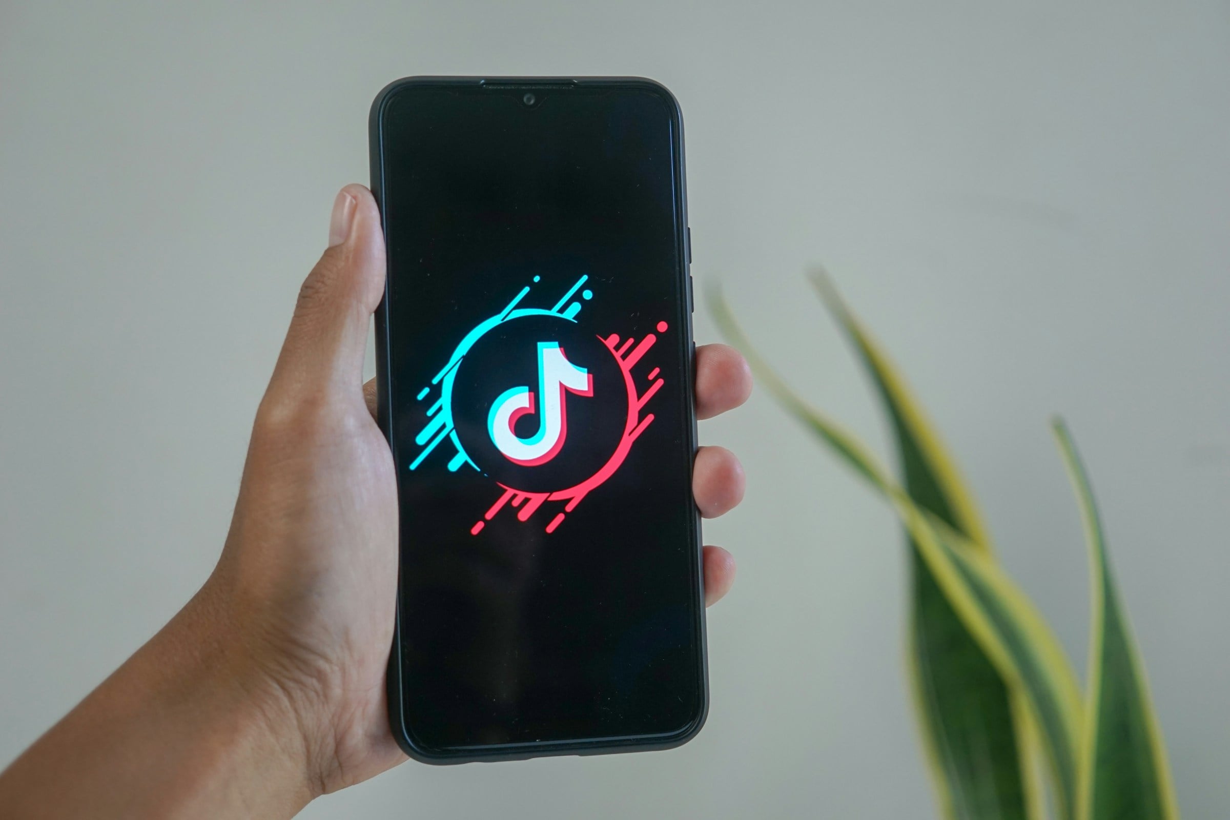 How to Find Trending Topics on TikTok in 19 Ways
